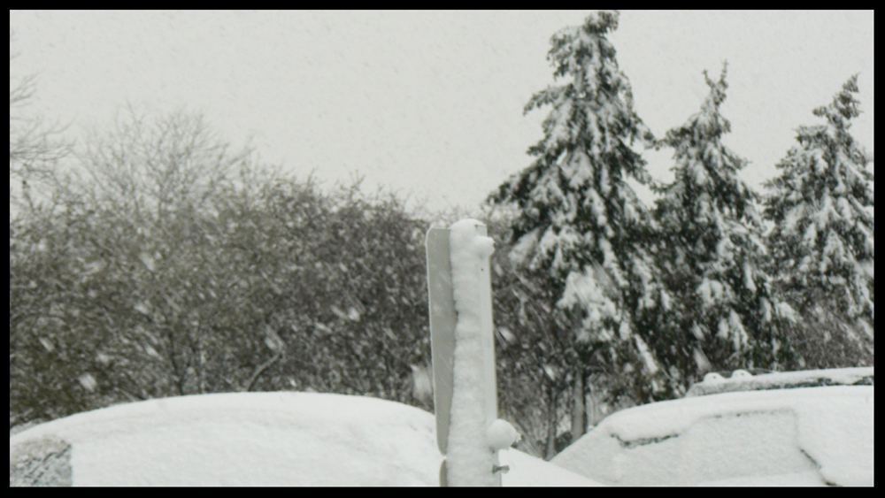 aprilsnow3.jpg